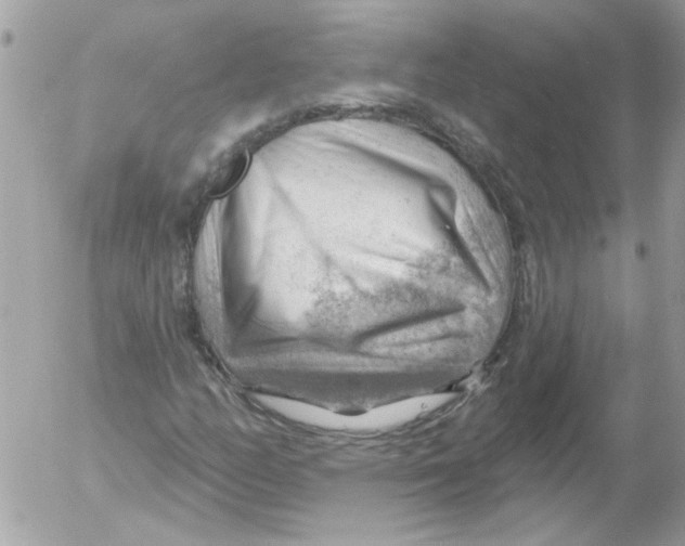 X0000052641158200507292258