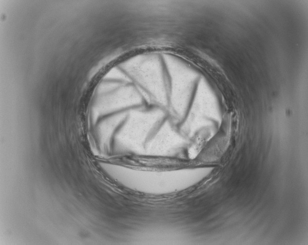 X0000052641160200507292258