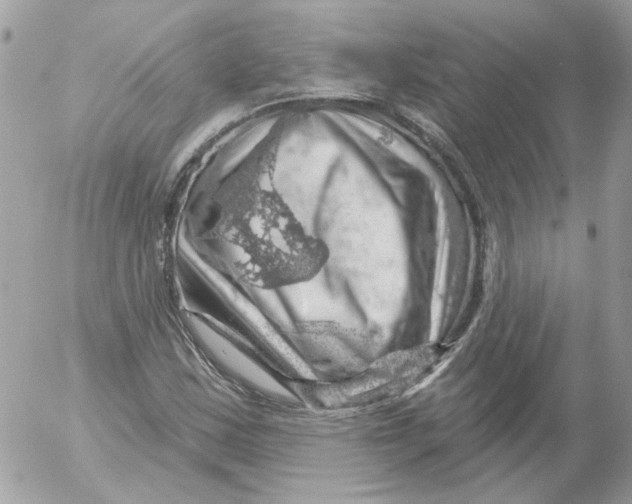 X0000052641163200507292258