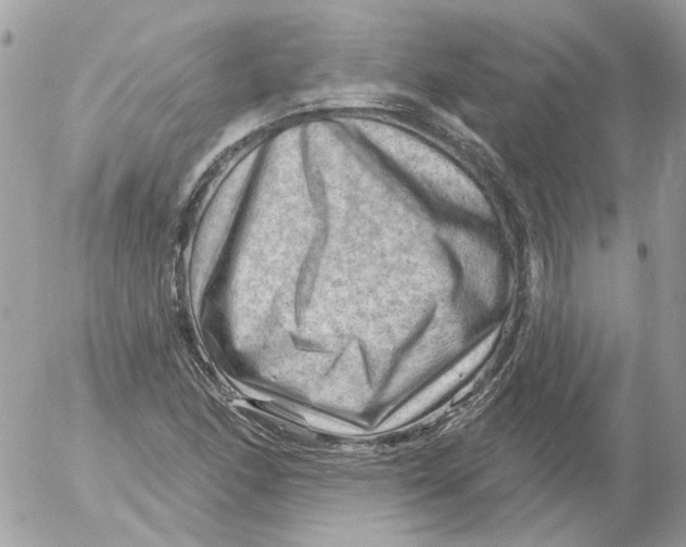 X0000052641166200507292258