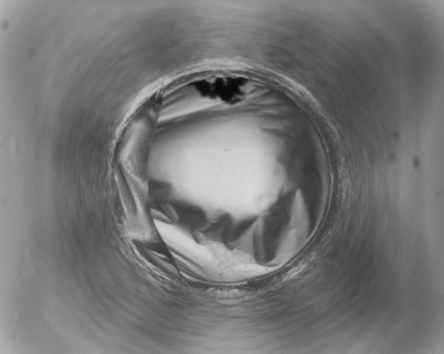 X0000052641168200507292258