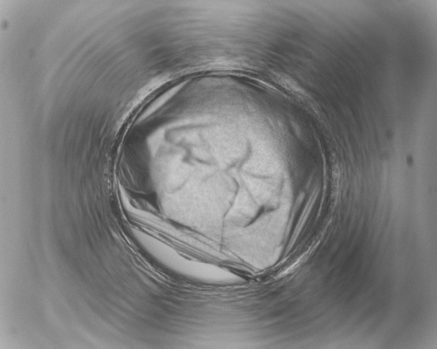 X0000052641170200507292258