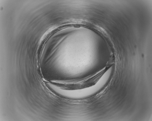X0000052641172200507292258