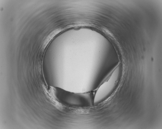 X0000052641177200507292258