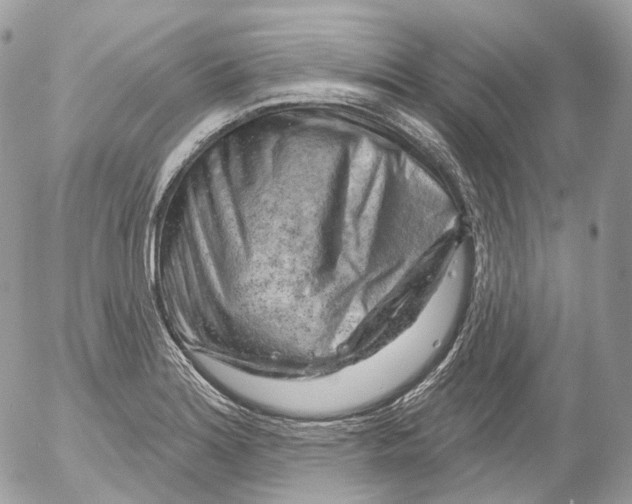 X0000052641180200507292257