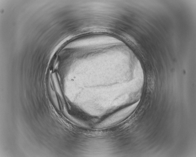 X0000052641182200507292257