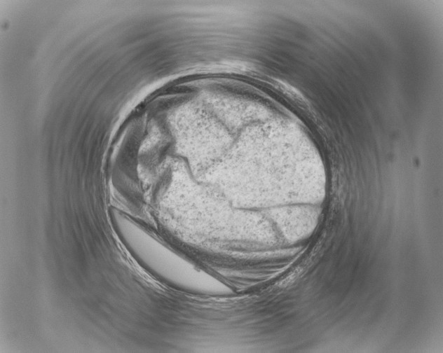 X0000052641184200507292257