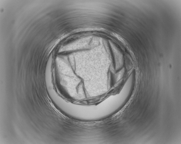 X0000052641185200507292257