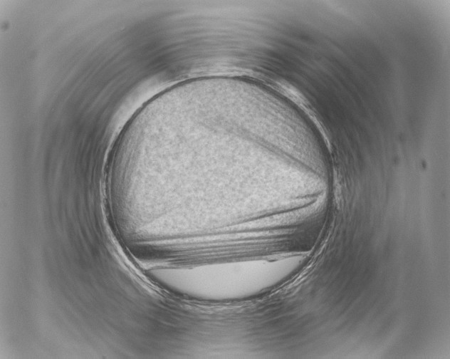X0000052641187200507292257