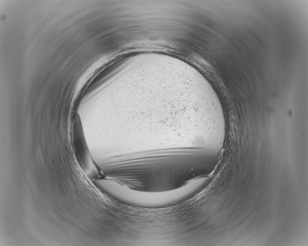 X0000052641188200507292257