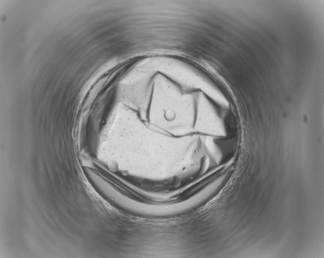X0000052641189200507292257