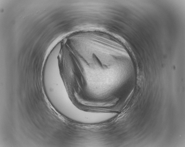 X0000052641191200507292257