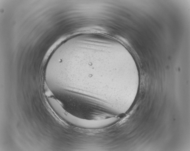 X0000052641196200507292257