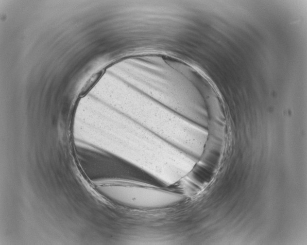 X0000052641197200507292257