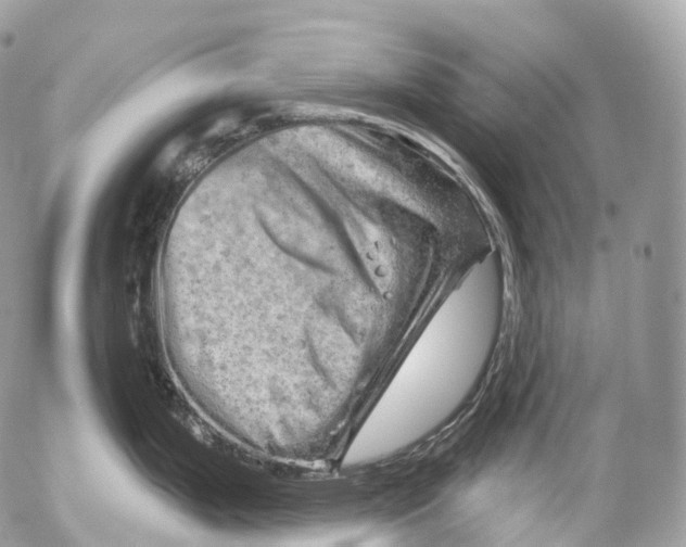 X0000052641199200507292257