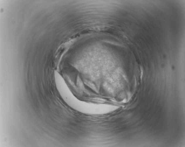 X0000052641202200507292256