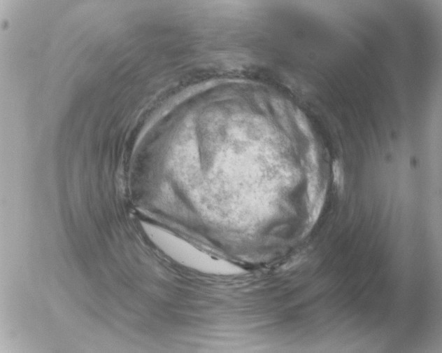 X0000052641203200507292256