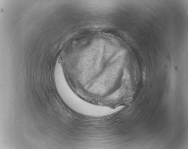 X0000052641204200507292256