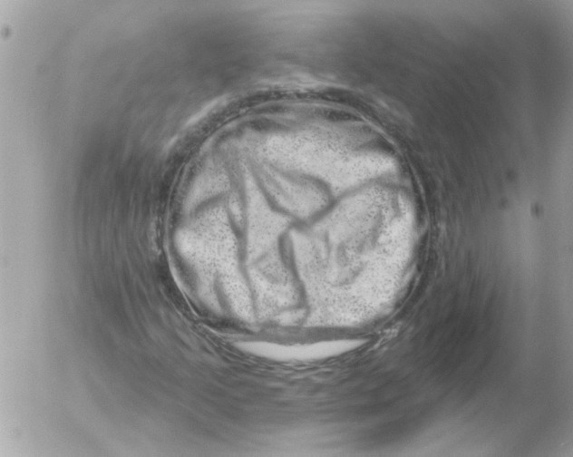 X0000052641205200507292256