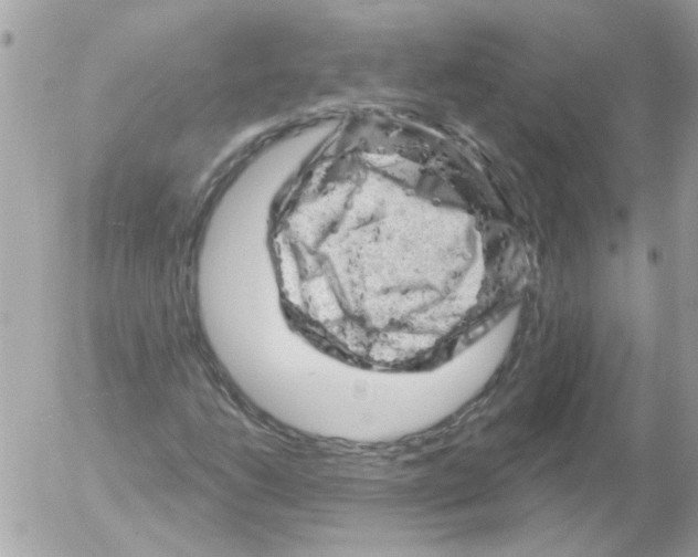 X0000052641206200507292256