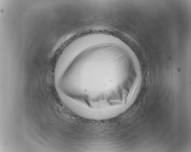 X0000052641207200507292256