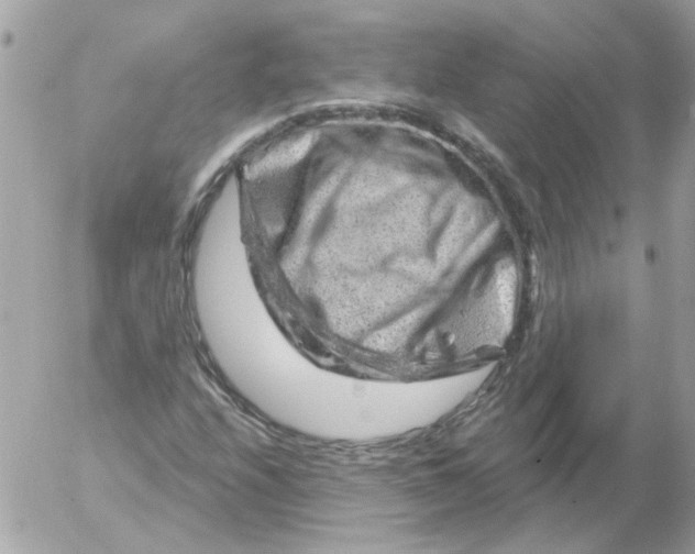 X0000052641208200507292256