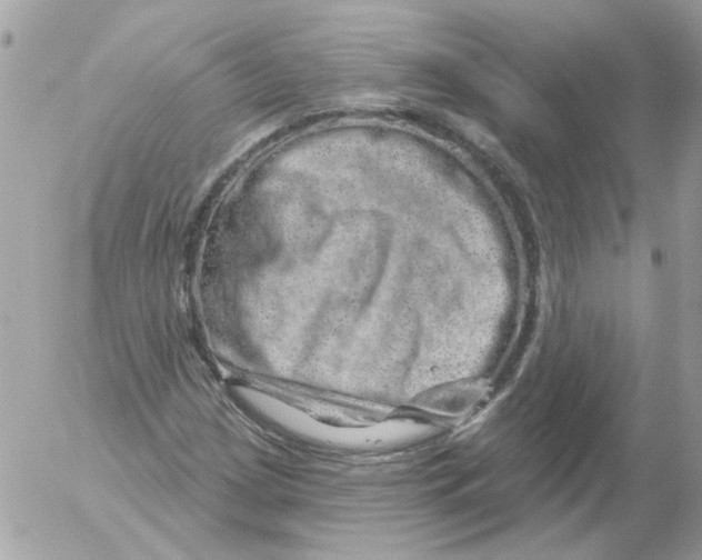 X0000052641209200507292256