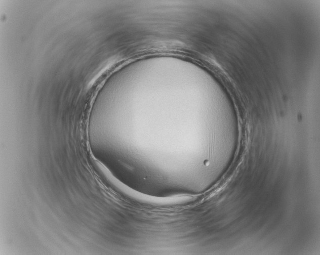 X0000052641211200507292257