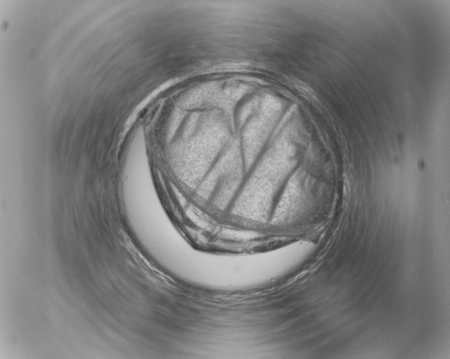 X0000052641212200507292257