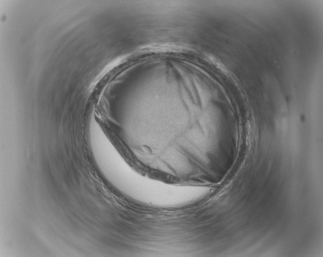 X0000052641213200507292257