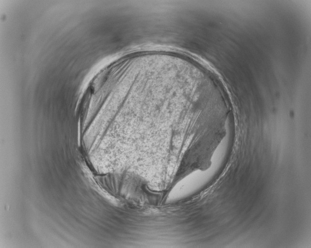 X0000052641223200507292257