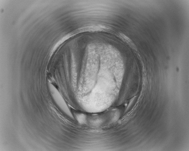 X0000052641226200507292257