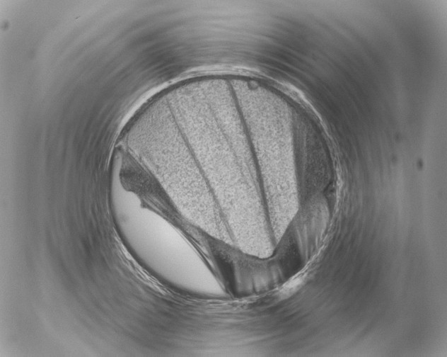 X0000052641228200507292257