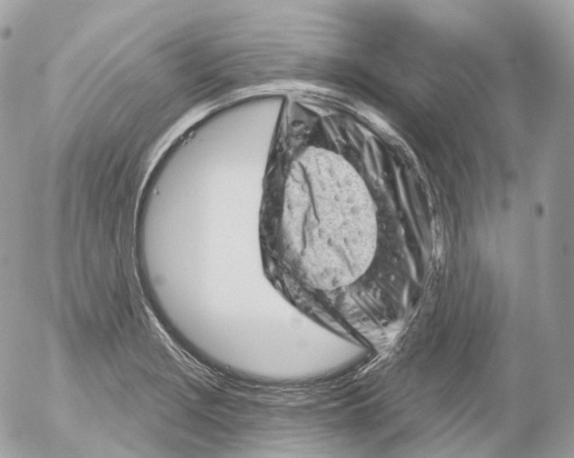 X0000052641229200507292257