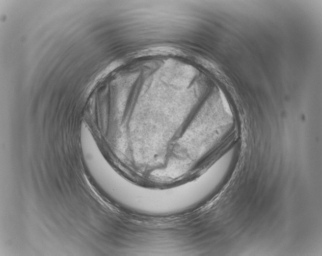 X0000052641233200507292257