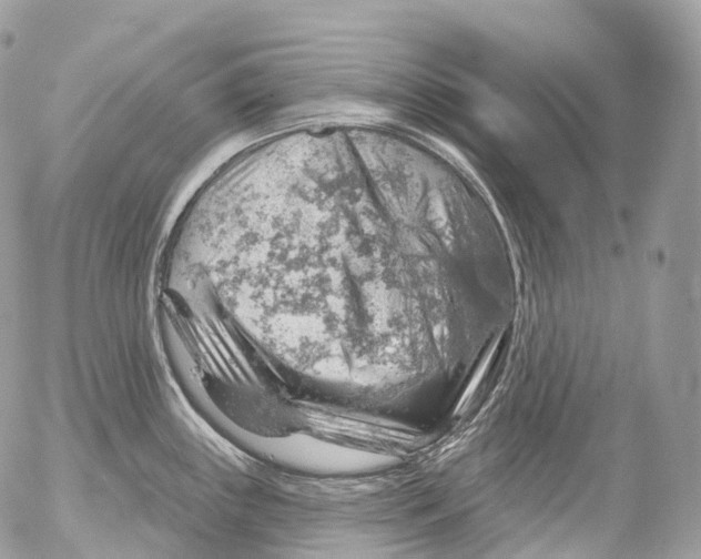 X0000052641243200507292257