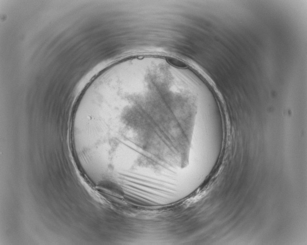 X0000052641245200507292257