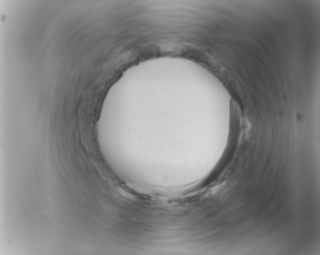 X0000052641249200507292256