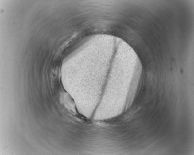 X0000052641250200507292256