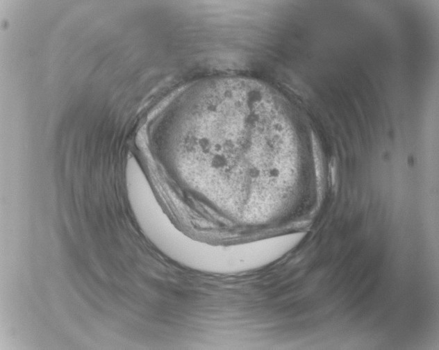 X0000052641251200507292256