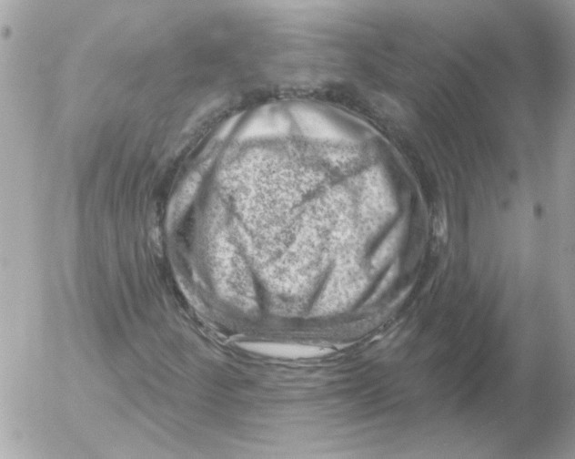 X0000052641252200507292256