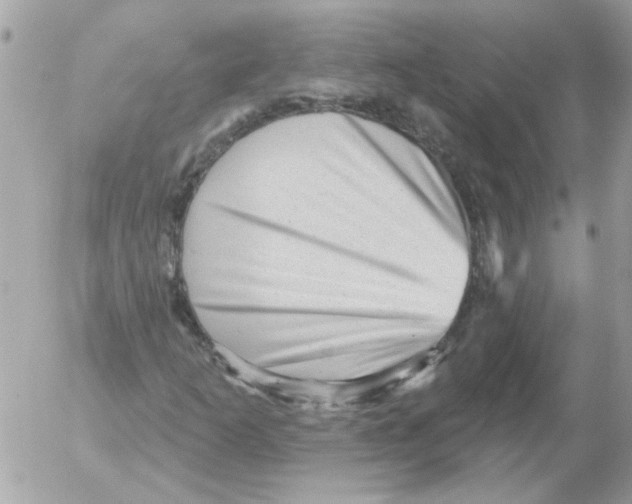 X0000052641253200507292256