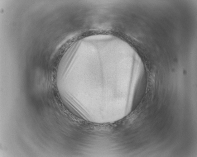X0000052641254200507292256