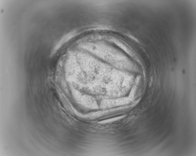 X0000052641255200507292256