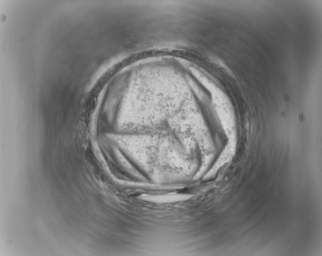 X0000052641256200507292256