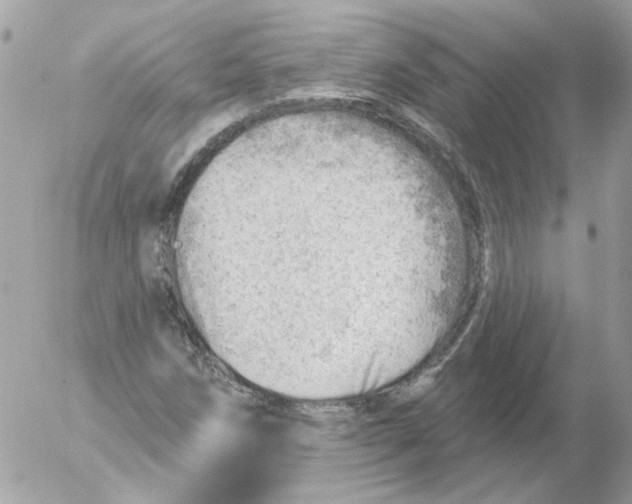 X0000052641258200507292256