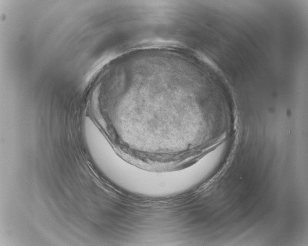 X0000052641259200507292256