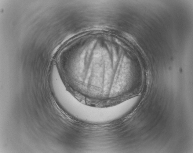 X0000052641260200507292256