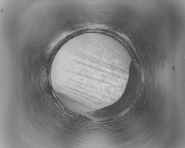 X0000052641263200507292256