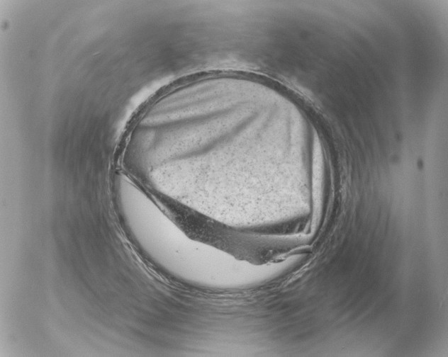 X0000052641264200507292256